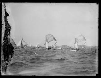 18-footers on Sydney Harbour, inscribed 5020