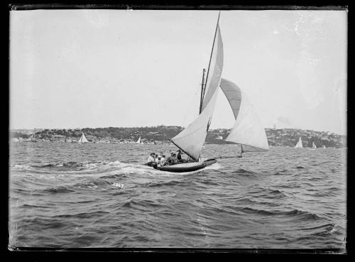 YENDYS on Sydney Harbour