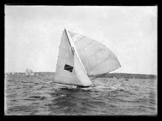 possibly a 16'-foot skiff on Sydney Harbour, inscribed 5463