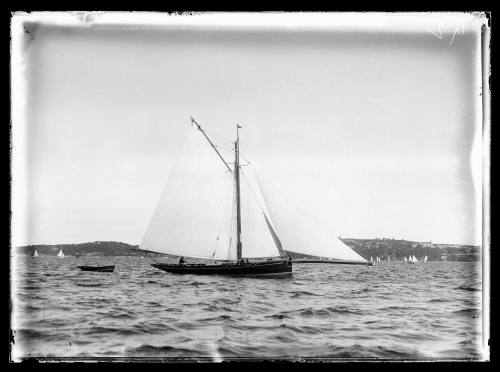 Gaff-rigged cutter with extended bow-sprit and one crew visible sails on Sydney Harbour with Vaucluse and Rose Bay in distance