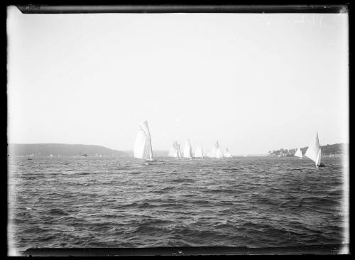 Fleet of gaff-rigged yacths on Pittwater.