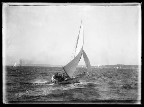 Skiff DONELLY on Sydney Harbour