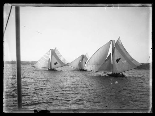 18-footers on Sydney Harbour, inscribed 167