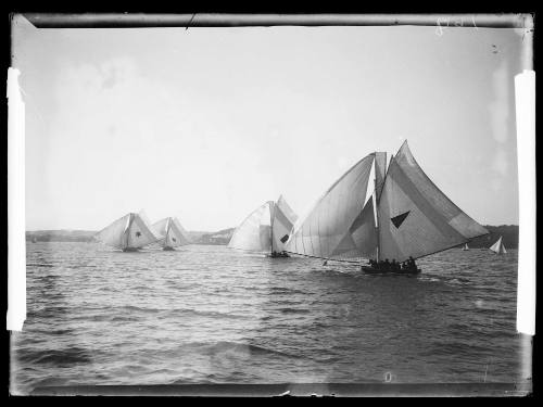 18-footers on Sydney Harbour, inscribed 195