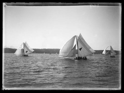 18-footers on Sydney Harbour, inscribed 196