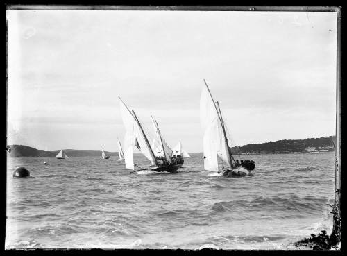 18-footers on Sydney Harbour, inscribed 265