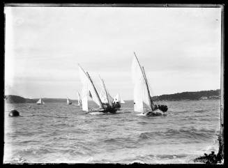 18-footers on Sydney Harbour, inscribed 265