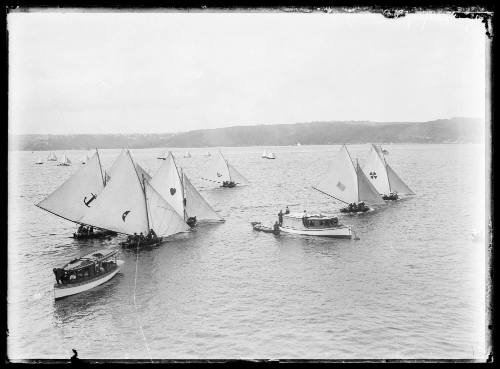 14-footers on Sydney Harbour, inscribed 275