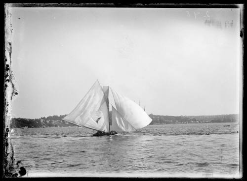 14-footer on Sydney Harbour, inscribed 278