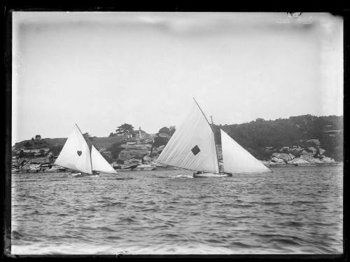 14-footers on Sydney Harbour, inscribed 282