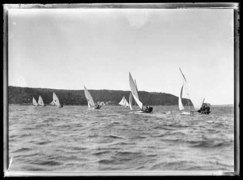 18-footers on Sydney Harbour, inscribed 906