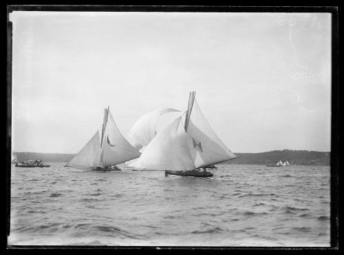 18-footers on Sydney Harbour, inscribed 1308