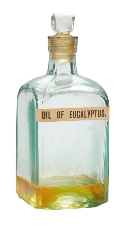 Bottle of eucalyptus oil from the medicine chest of the SAMUEL PLIMSOLL