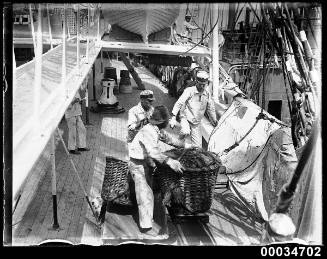 Japanese sailors loading a coal basket on board naval vessel TAISEI MARU