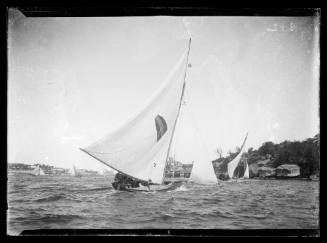 18-foot skiffs on Sydney Harbour