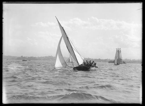 18-foot skiffs on Sydney Harbour, inscribed 336