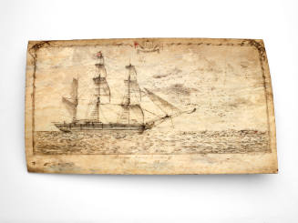 Barque TERROR commencing after sperm whale