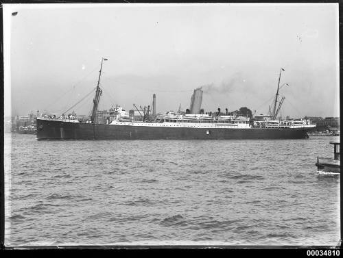 Passenger ships in Sydney Harbour