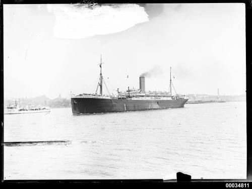 Passenger ships in Sydney Harbour