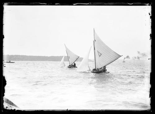 Possible 14 0r 16-foot skiffs on Sydney Harbour, inscribed 553