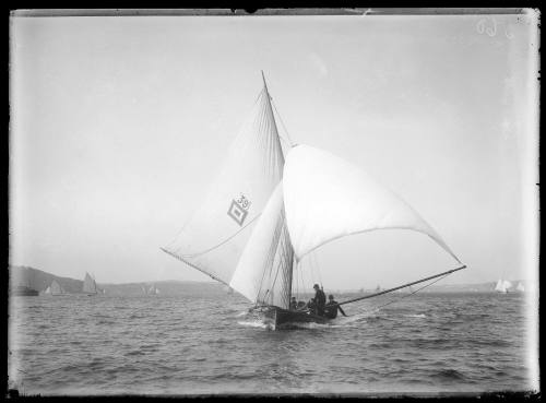 Possible 16-foot skiff MEMORY on Sydney Harbour, inscribed 560