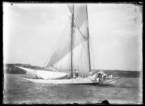 Sloops HOSITING SAILS on Sydney Harbour, inscribed 666