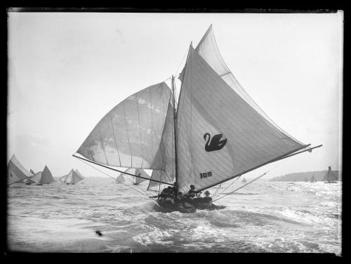 West Australian 18-footer WESTANA in the Anniversary Day Regatta 1913, inscribed 675