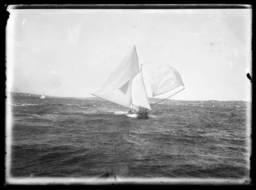 18-footer MAVIS on Sydney Harbour, inscribed 694