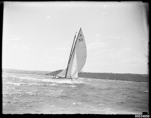 SEA ROVER under sail in Sydney Harbour