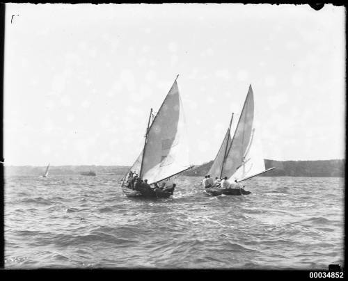 Skiffs on Sydney Harbour