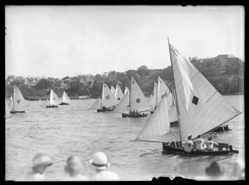 Restricted 12-foot skiffs racing on the Lane Cove River