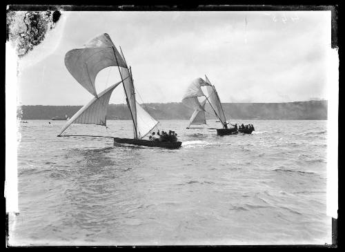 18-foot skiffs on Sydney Harbour, inscribed 445