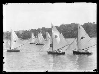 Fleet of Lane Cove Restricted 12-foot skiffs