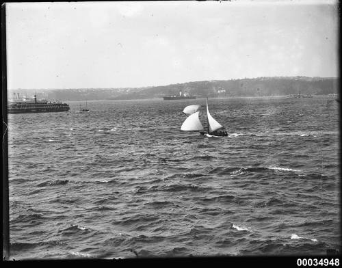 Two sloops and ferries in Sydney Harbour