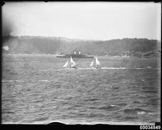 Two sloops racing near a ferry in Sydney Harbour