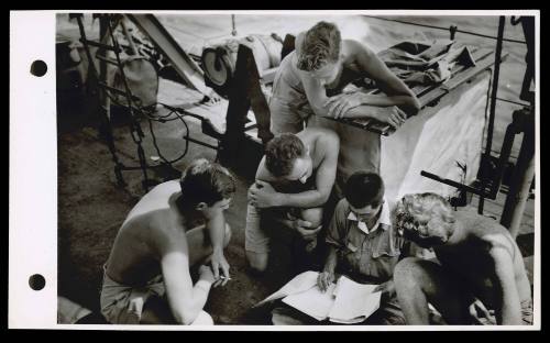 A16732 Members of the crew of HMAS GLENELG show interest in a Japanese prisoner's translations