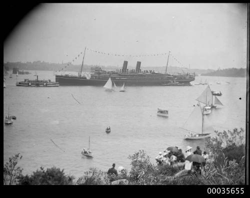 View of passenger ship arriving into Sydney Harbour