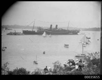 View of passenger ship arriving into Sydney Harbour