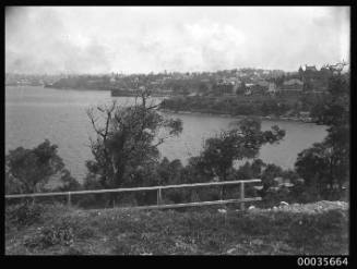 Harbour view from Cremorne Point