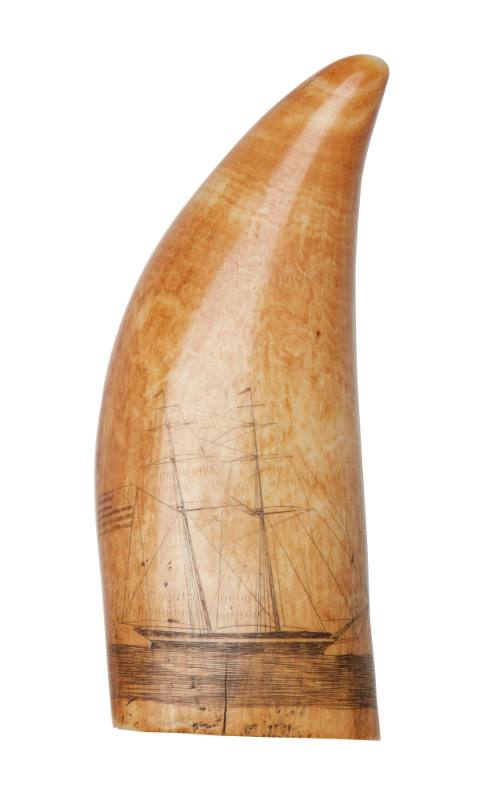 American two masted ship scrimshawed on a whale tooth