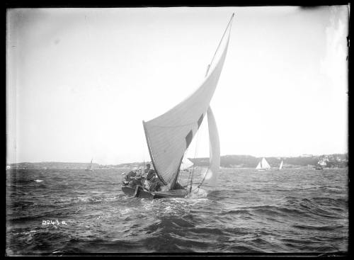 18-footer HC PRESS on Sydney Harbour, inscribed 2243 A