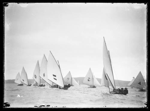 18-foot skiffs on Sydney Harbour, inscribed 36 +