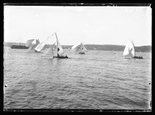 18-footers on Sydney Harbour, inscribed 1548