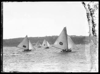 Fleet of 18-footers on Sydney Harbour