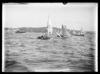 6-foot skiffs on Sydney Harbour