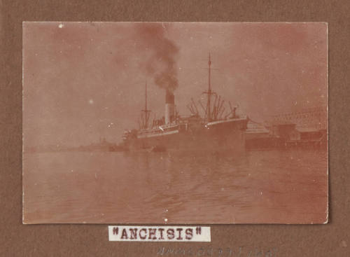 SS ANCHISES