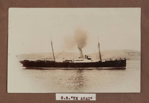 SS TE ANAU