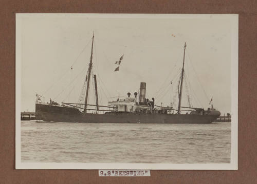 SS BEESWING