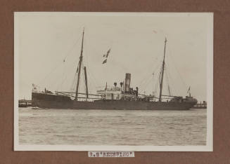 SS BEESWING