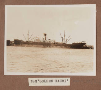 SS GOLDEN KAURI